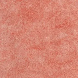 Wool Felt ~ Charming Coral